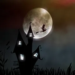 Bewitched beat cover by Chris Shine