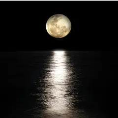 Moonlight beat cover by Chris Shine