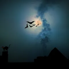 Midnight beat cover by Chris Shine