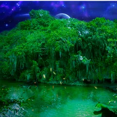 Enchanted Forest beat cover