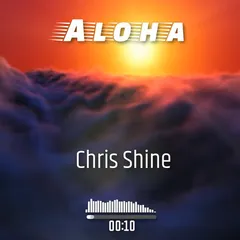 Aloha beat cover by Chris Shine