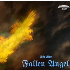 Fallen Angel beat cover by Chris Shine