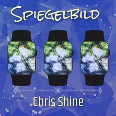 Spiegelbild beat cover by Chris Shine