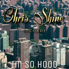 Im So Hood beat cover