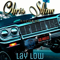 Lay Low beat cover by Chris Shine