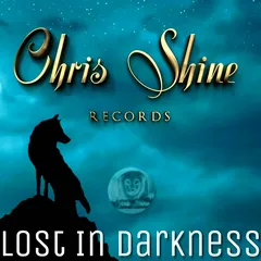 Lost In Darkness beat cover