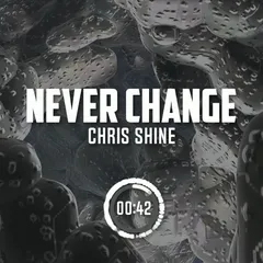 Never Change beat cover by Chris Shine