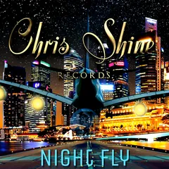 Night Fly beat cover