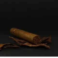 Cigar Music beat cover