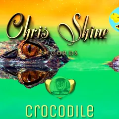 Crocodile beat cover